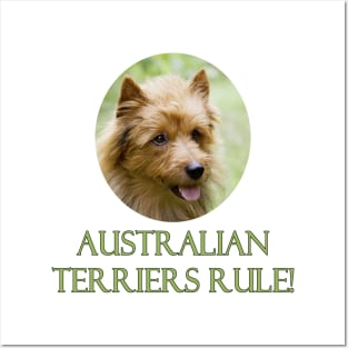 Australian Terriers Rule! Posters and Art